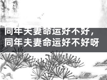 同年夫妻命运好不好,同年夫妻命运好不好呀