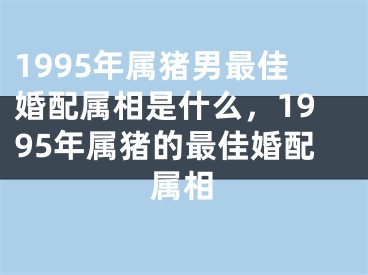 1995年属猪男最佳婚配属相是什么，1995年属猪的最佳婚配属相