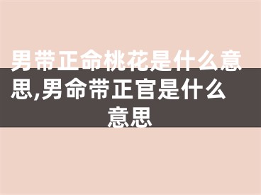 男带正命桃花是什么意思,男命带正官是什么意思