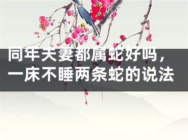 同年夫妻都属蛇好吗,一床不睡两条蛇的说法