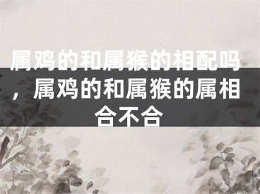 属鸡的和属猴的相配吗,属鸡的和属猴的属相合不合