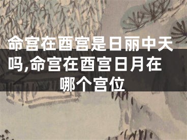 命宫在酉宫是日丽中天吗,命宫在酉宫日月在哪个宫位