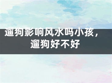 遛狗影响风水吗小孩,遛狗好不好
