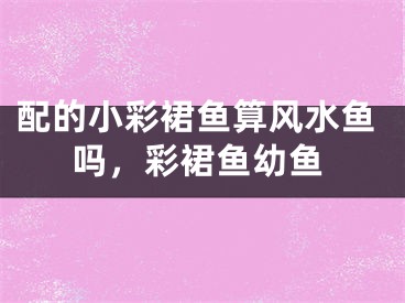 配的小彩裙鱼算风水鱼吗，彩裙鱼幼鱼