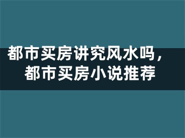 都市买房讲究风水吗,都市买房小说推荐