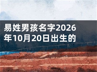 易姓男孩名字2026年10月20日出生的