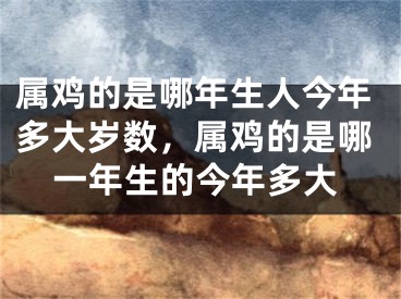 属鸡的是哪年生人今年多大岁数，属鸡的是哪一年生的今年多大