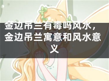 金边吊兰有毒吗风水,金边吊兰寓意和风水意义