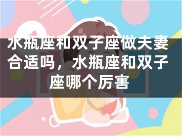 水瓶座和双子座做夫妻合适吗，水瓶座和双子座哪个厉害