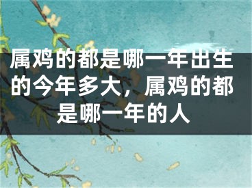 属鸡的都是哪一年出生的今年多大,属鸡的都是哪一年的人