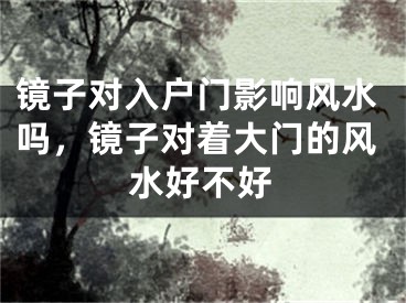 镜子对入户门影响风水吗,镜子对着大门的风水好不好