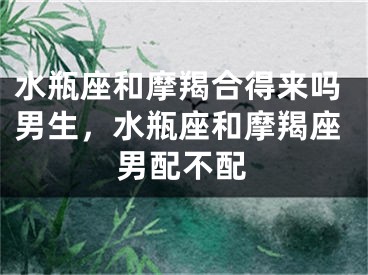 水瓶座和摩羯合得来吗男生,水瓶座和摩羯座男配不配