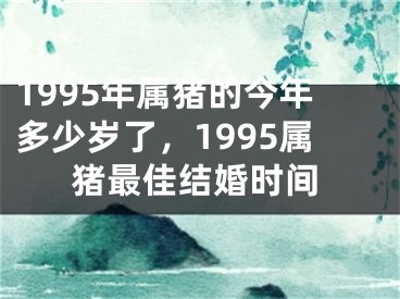 1995年属猪的今年多少岁了,1995属猪最佳结婚时间