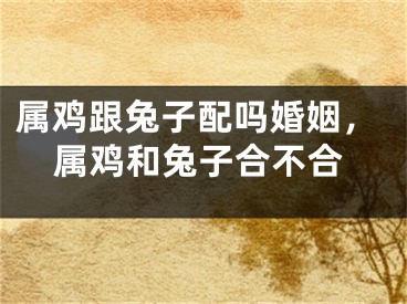 属鸡跟兔子配吗婚姻,属鸡和兔子合不合