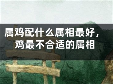 属鸡配什么属相最好,鸡最不合适的属相