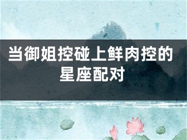 当御姐控碰上鲜肉控的星座配对