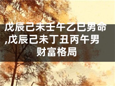 戊辰己未壬午乙巳男命,戊辰己未丁丑丙午男财富格局