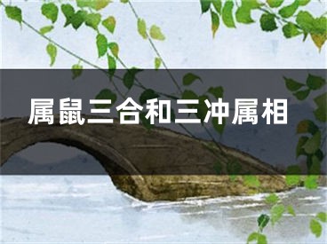 属鼠三合和三冲属相