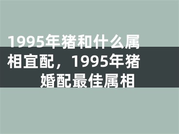 1995年猪和什么属相宜配，1995年猪婚配最佳属相