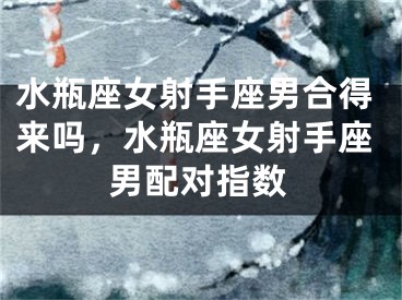 水瓶座女射手座男合得来吗,水瓶座女射手座男配对指数