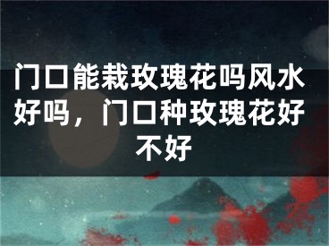 门口能栽玫瑰花吗风水好吗，门口种玫瑰花好不好