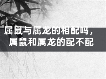 属鼠与属龙的相配吗，属鼠和属龙的配不配