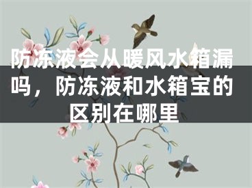 防冻液会从暖风水箱漏吗,防冻液和水箱宝的区别在哪里
