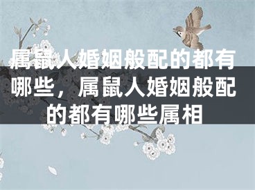 属鼠人婚姻般配的都有哪些,属鼠人婚姻般配的都有哪些属相