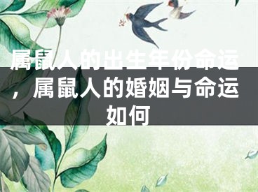 属鼠人的出生年份命运,属鼠人的婚姻与命运如何