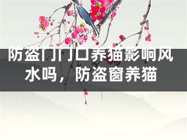 防盗门门口养猫影响风水吗,防盗窗养猫