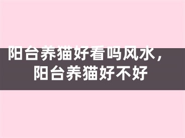 阳台养猫好看吗风水,阳台养猫好不好