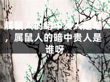 属鼠人的暗中贵人是谁,属鼠人的暗中贵人是谁呀