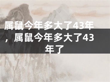 属鼠今年多大了43年,属鼠今年多大了43年了