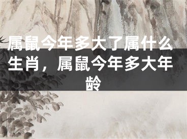 属鼠今年多大了属什么生肖,属鼠今年多大年龄