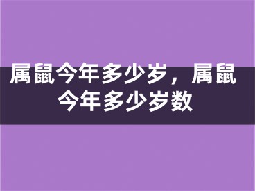 属鼠今年多少岁,属鼠今年多少岁数