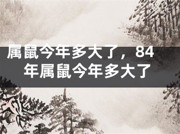 属鼠今年多大了,84年属鼠今年多大了