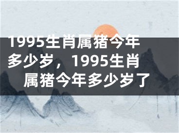 1995生肖属猪今年多少岁，1995生肖属猪今年多少岁了
