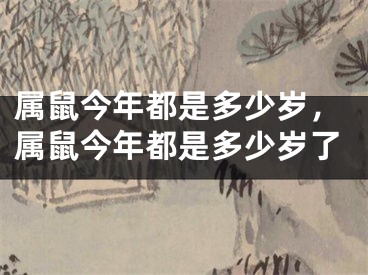 属鼠今年都是多少岁,属鼠今年都是多少岁了