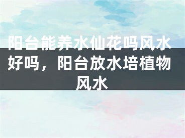 阳台能养水仙花吗风水好吗,阳台放水培植物风水