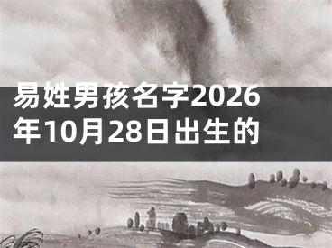 易姓男孩名字2026年10月28日出生的