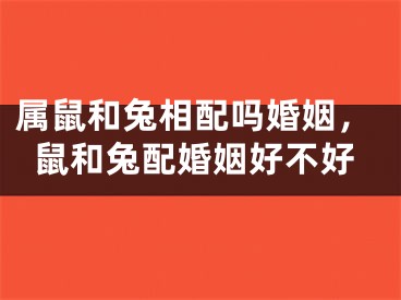 属鼠和兔相配吗婚姻，鼠和兔配婚姻好不好
