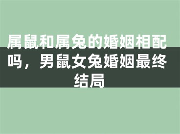 属鼠和属兔的婚姻相配吗，男鼠女兔婚姻最终结局