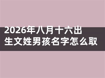 2026年八月十六出生文姓男孩名字怎么取