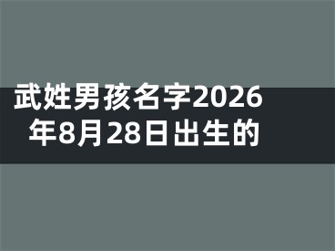 武姓男孩名字2026年8月28日出生的