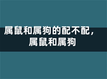 属鼠和属狗的配不配，属鼠和属狗