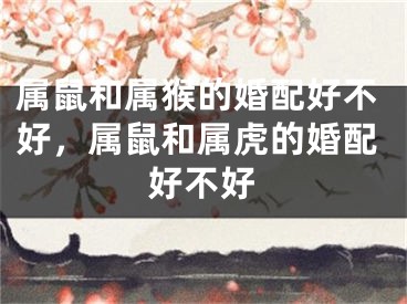 属鼠和属猴的婚配好不好,属鼠和属虎的婚配好不好