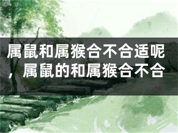 属鼠和属猴合不合适呢，属鼠的和属猴合不合