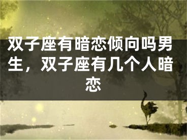 双子座有暗恋倾向吗男生，双子座有几个人暗恋