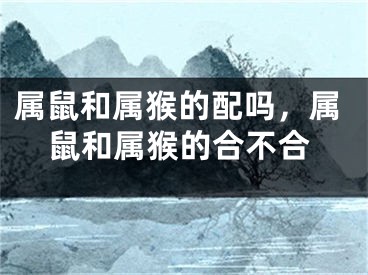 属鼠和属猴的配吗，属鼠和属猴的合不合