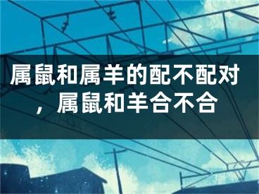 属鼠和属羊的配不配对，属鼠和羊合不合